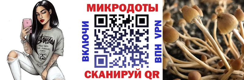 Галлюциногенные грибы прущие грибы  цена наркотик  Острогожск 